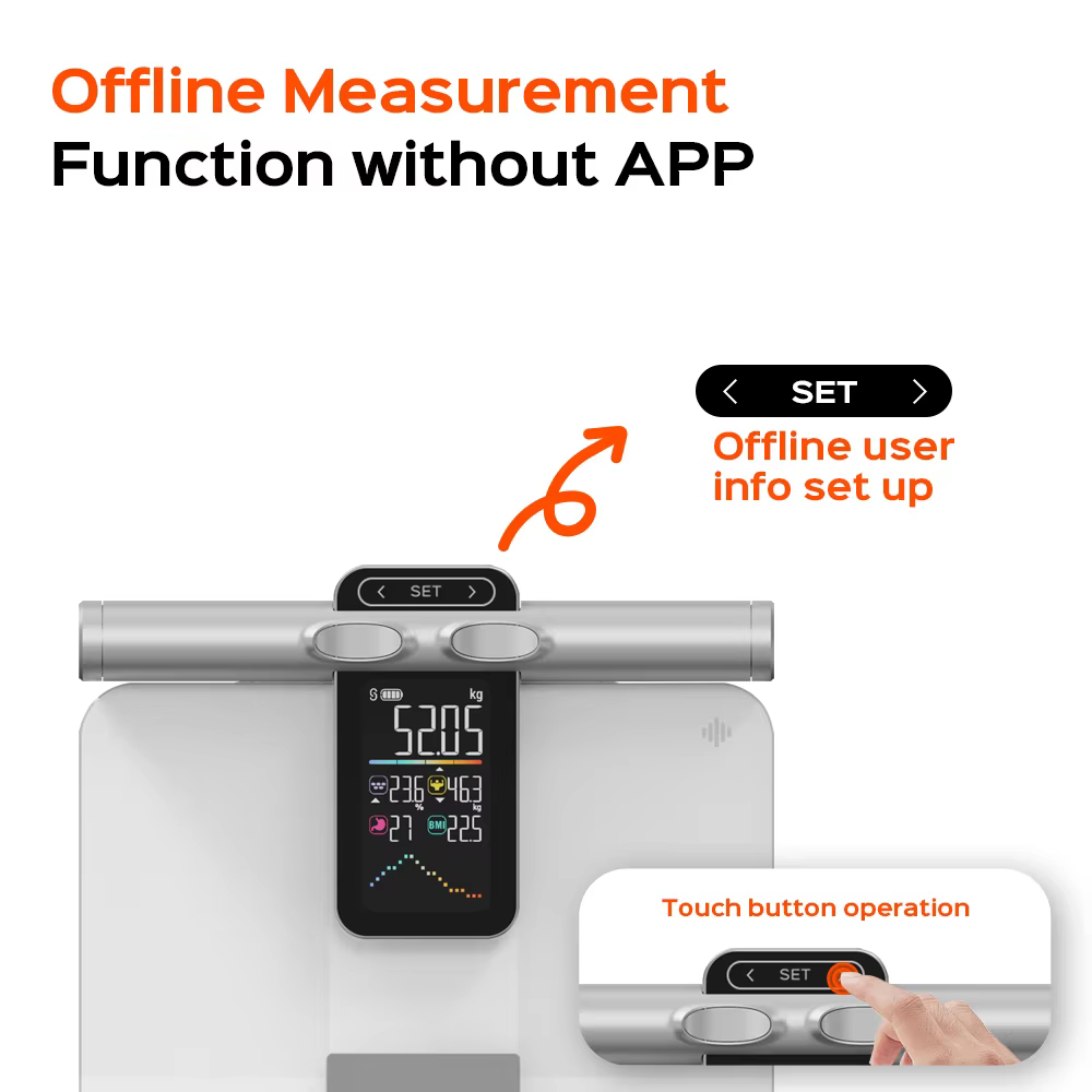 2025 Nieuwe offline meetfuncti - Digital Body Weight Scale recensie en prijs