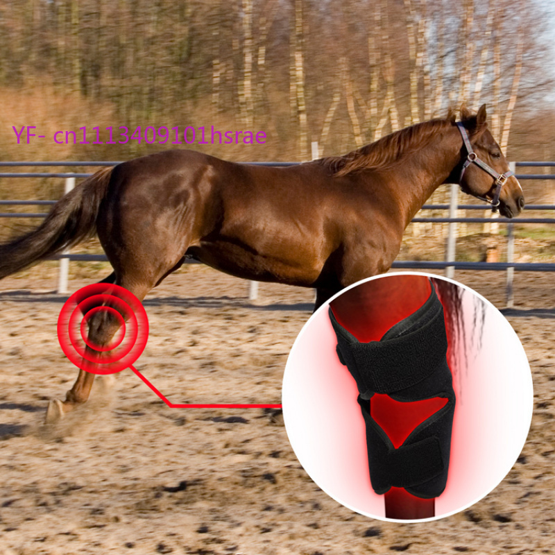 Ingebouwde batterij paardenrod - Red Light Therapy Device recensie en prijs