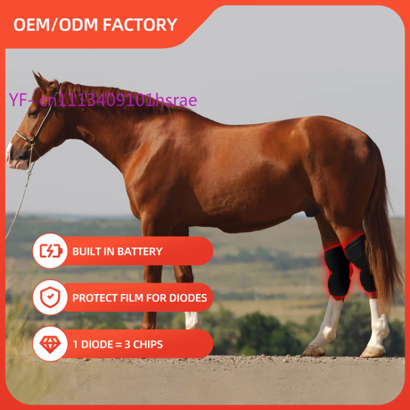 Ingebouwde batterij paardenrod - Red Light Therapy Device recensie en prijs