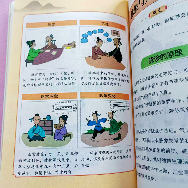 Komische gids voor Huangdi Nei - Health Wellness Guide recensie en prijs